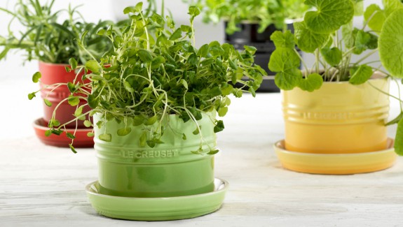 Le Creuset Herb Planters