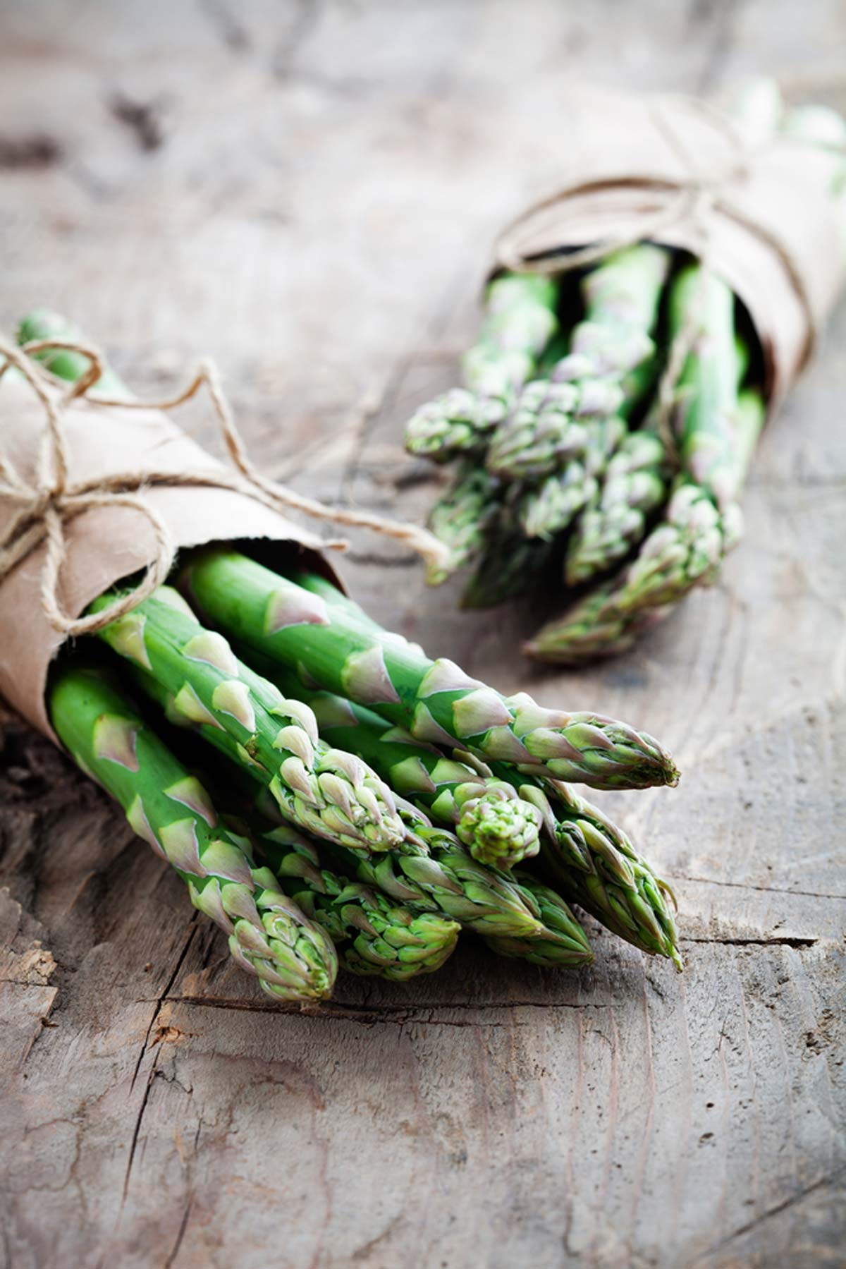 Asparagus-Feature