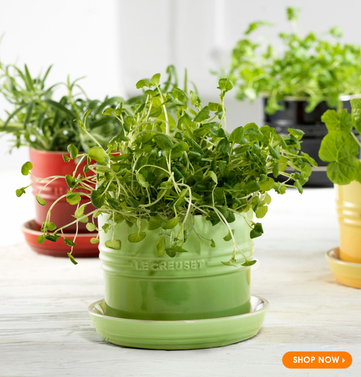 Le-Creuset-Herb-Planter